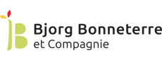 Plan d’action du Bilan Carbone de Bjorg, Bonneterre et Compagnie
